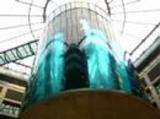 Illustration for article titled Aquadom Is Largest Cylindrical Aquarium on the Planet